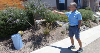 Photo of a man pointing to a native, drought-tolerant plant