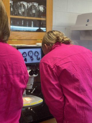 A ROCS-Net participant views microplastic samples using a microscope in the microplastics lab. 