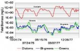 Predictive relative abundance of algal groups