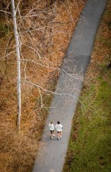 Walking along a path with fall foliage