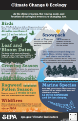 Illustrations and summary statistics on the warming climate impacts on ecology